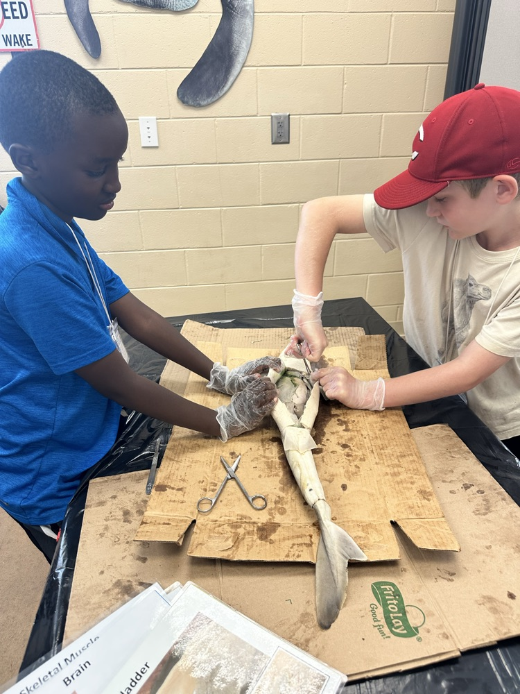 Mrs. Morris’s pep students exploring Jykell Island GA for a field trip. 