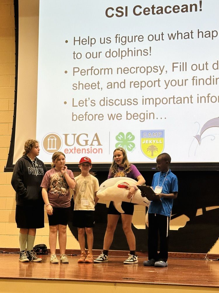 Mrs. Morris’s pep students exploring Jykell Island GA for a field trip. 