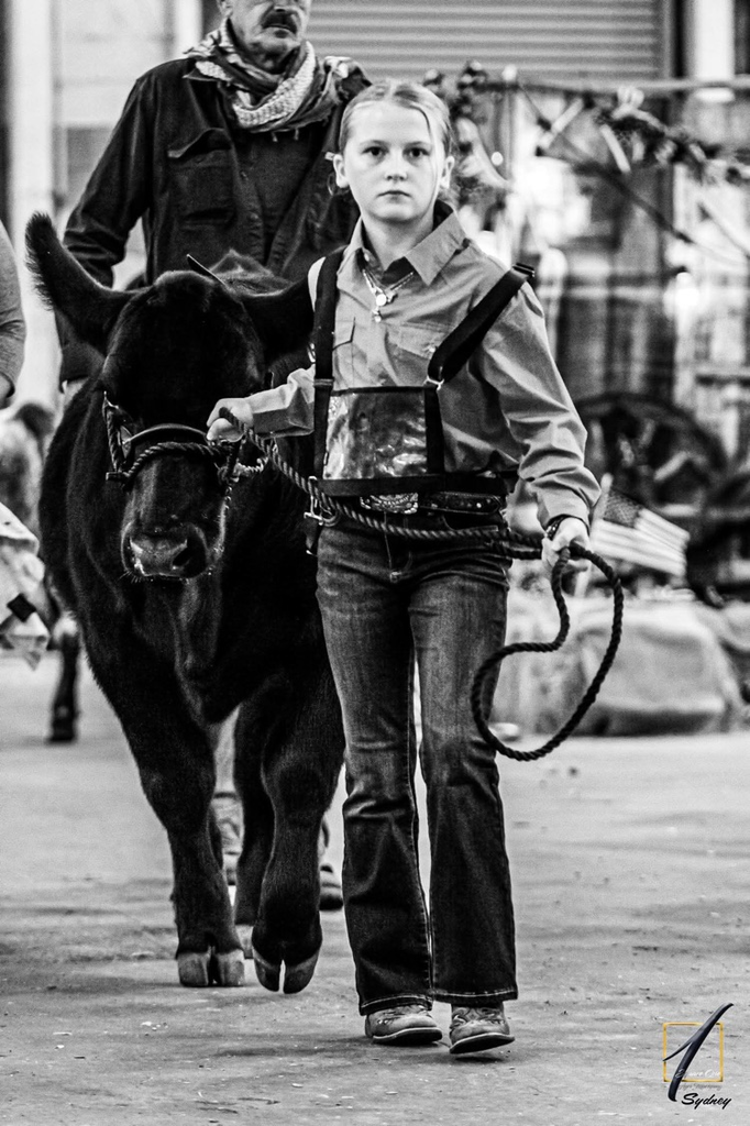 Please help us congratulate Lily George, a Van Wert 4th grader, on her accomplishments at state!! ✨ Beef Showmanship: 5th ✨ Sheep Showmanship: 7th ✨ Butterbean: 3rd in class ✨ Holly: 6th in class ✨ Asher: 2nd Ga born and bred in class