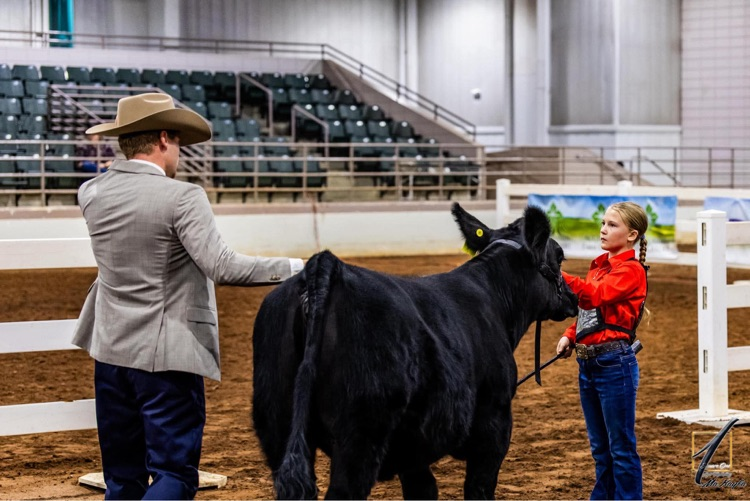 Please help us congratulate Lily George, a Van Wert 4th grader, on her accomplishments at state!! ✨ Beef Showmanship: 5th ✨ Sheep Showmanship: 7th ✨ Butterbean: 3rd in class ✨ Holly: 6th in class ✨ Asher: 2nd Ga born and bred in class