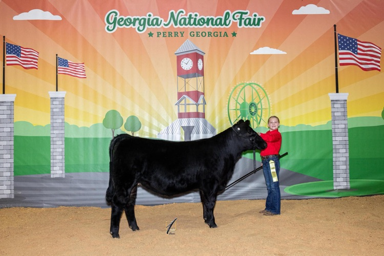 Please help us congratulate Lily George, a Van Wert 4th grader, on her accomplishments at state!! ✨ Beef Showmanship: 5th ✨ Sheep Showmanship: 7th ✨ Butterbean: 3rd in class ✨ Holly: 6th in class ✨ Asher: 2nd Ga born and bred in class