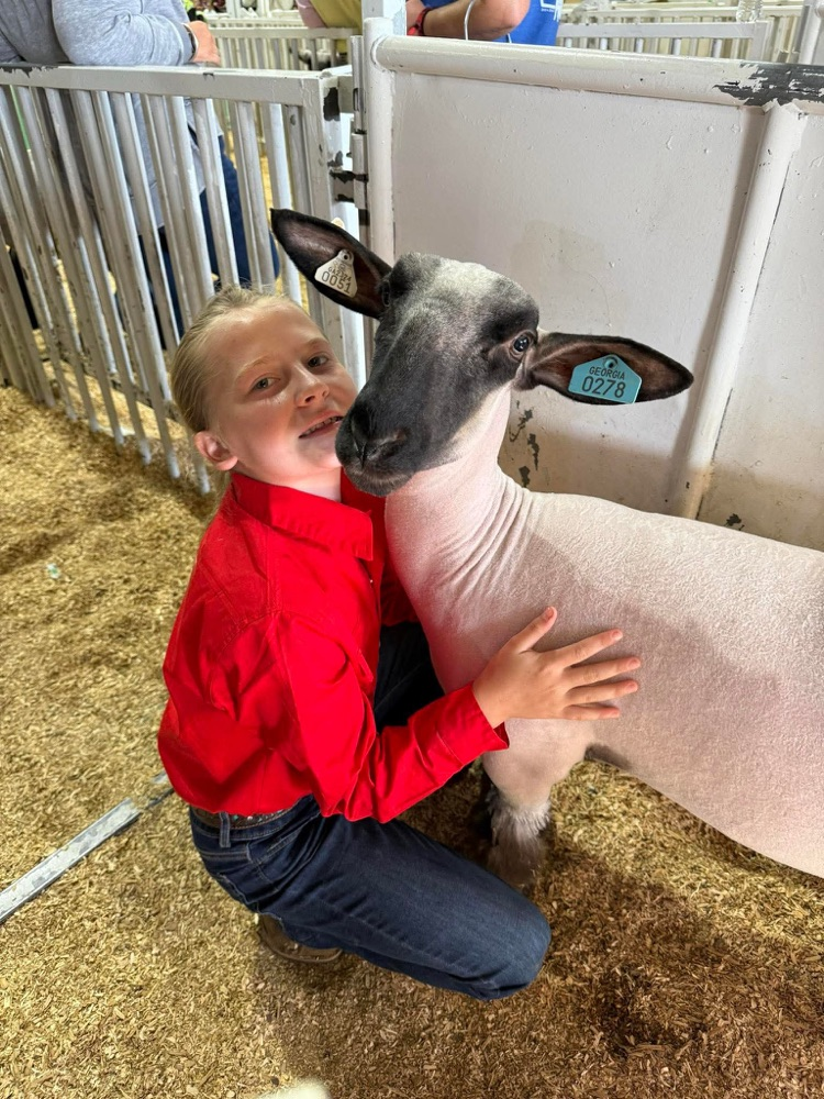Please help us congratulate Lily George, a Van Wert 4th grader, on her accomplishments at state!! ✨ Beef Showmanship: 5th ✨ Sheep Showmanship: 7th ✨ Butterbean: 3rd in class ✨ Holly: 6th in class ✨ Asher: 2nd Ga born and bred in class