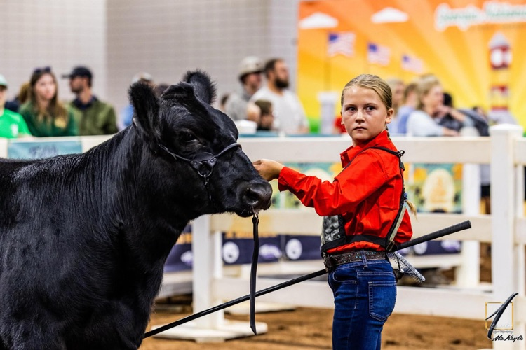 Please help us congratulate Lily George, a Van Wert 4th grader, on her accomplishments at state!! ✨ Beef Showmanship: 5th ✨ Sheep Showmanship: 7th ✨ Butterbean: 3rd in class ✨ Holly: 6th in class ✨ Asher: 2nd Ga born and bred in class