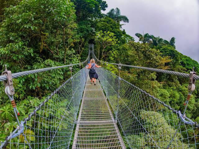 Swinging  bridge in Costa Rica