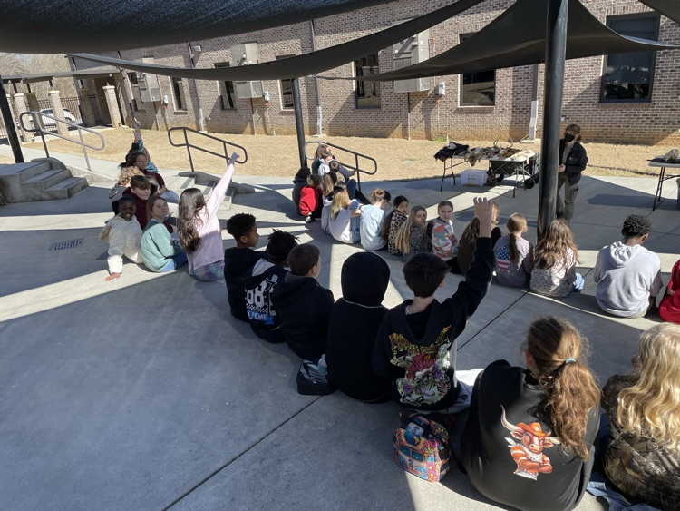 There foxes, bears, deer and other mammals.