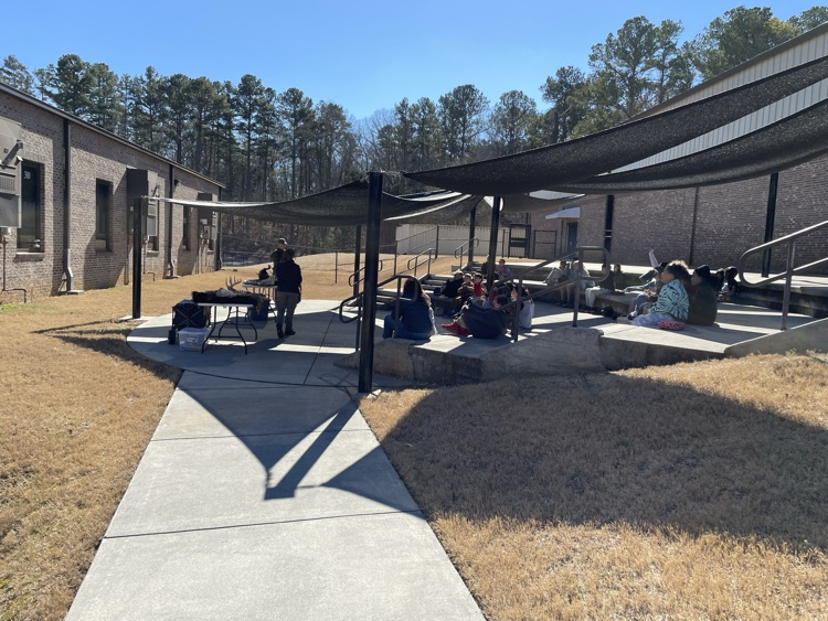 Wild animal behaviors were discussed.