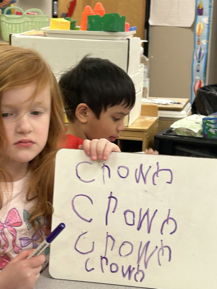 Dental Health🦷🪥