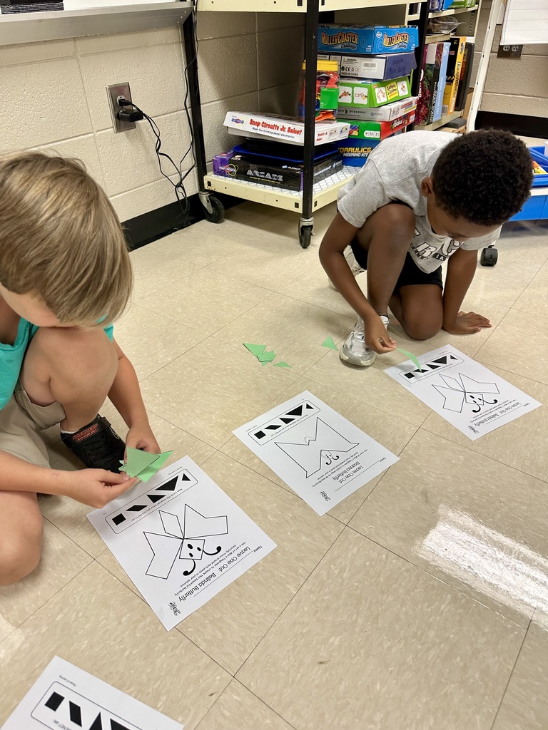 It's Gifted Education Month, and we are proud to recognize our gifted teacher, Mrs. Morris, and our amazing PEP students! Mrs. Morris inspires students to think critically, explore creatively, and grow in their learning each day. She is a wonderful asset to Van Wert!  This picture is of students working on a project.