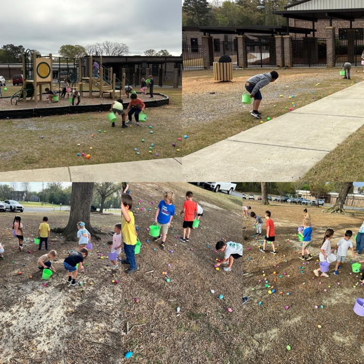 Egg Hunt 