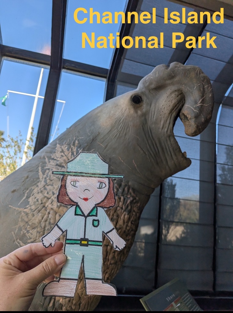 Students in Ms. Pace's writing class researched our National Parks. After completing their research, they wrote an opinion piece on which park they thought would be the best to send their Flat Rangers to. Ms. Pace mailed off the Flat Rangers to the chosen National Parks, requesting help from the park rangers. Several pictures and items have already been sent back to students, with more on the way!  A cutout ranger at a park location.