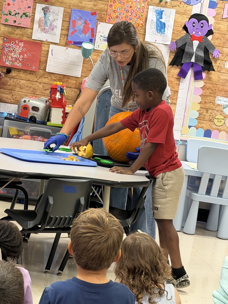 Mrs. Carver's students pulling seeds out of a pumpkin. 