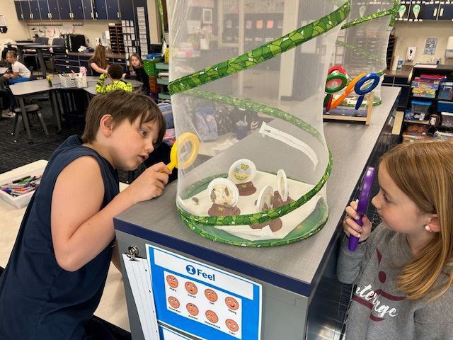 Discovering Caterpillars
