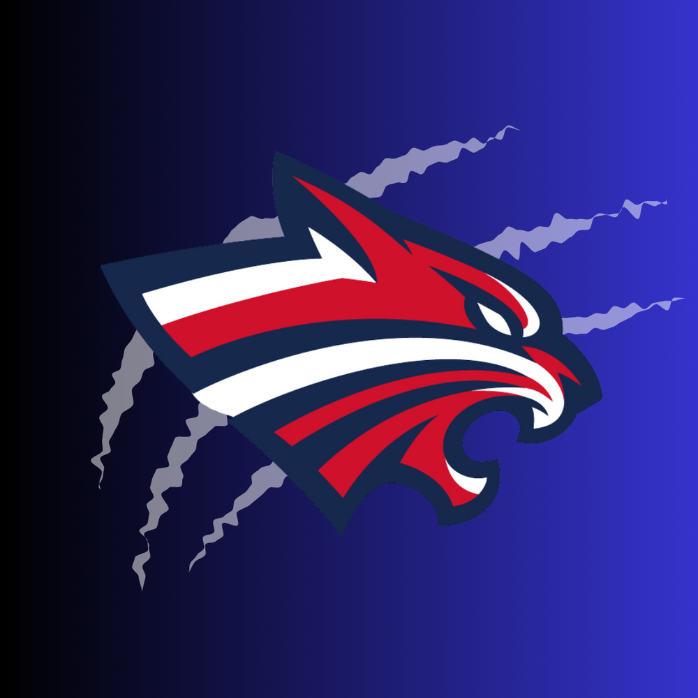 Wildcat Logo
