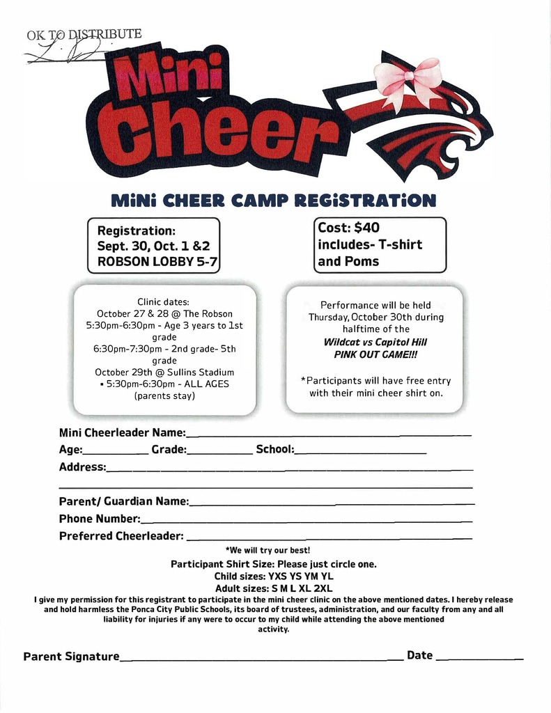 Mini Cheer Registration