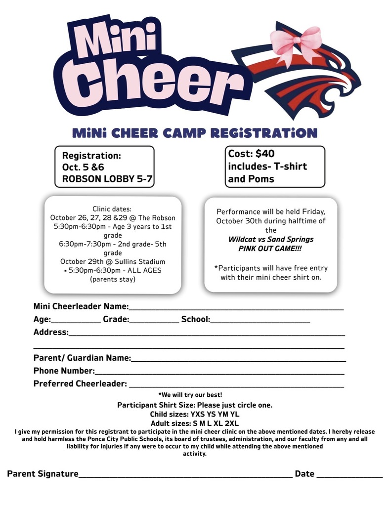 Decorative Image - Mini-Cheer Sign-Up Form