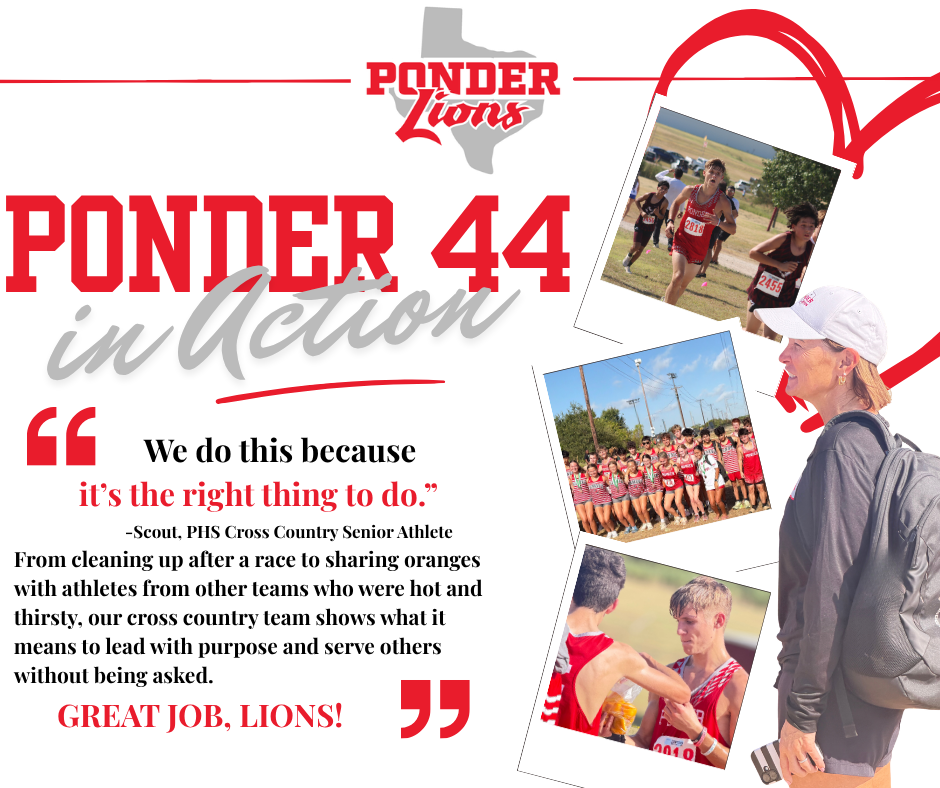 Ponder 44 in ACTION