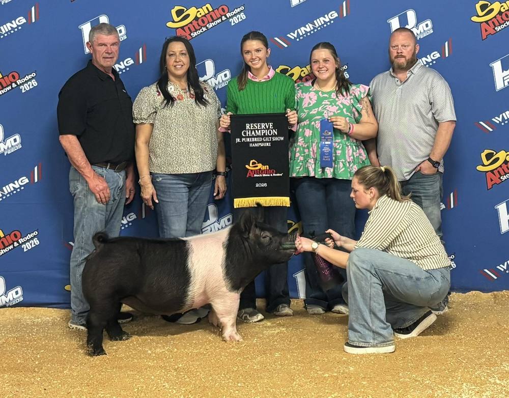 Reserve Champion - ShoeMate