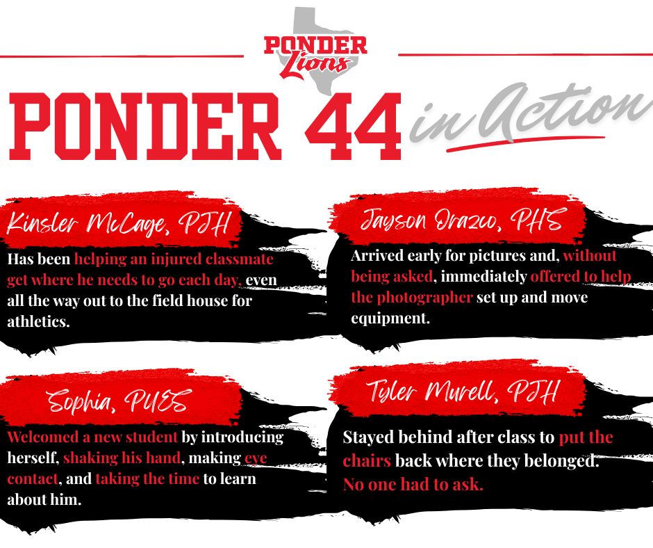 Ponder 44