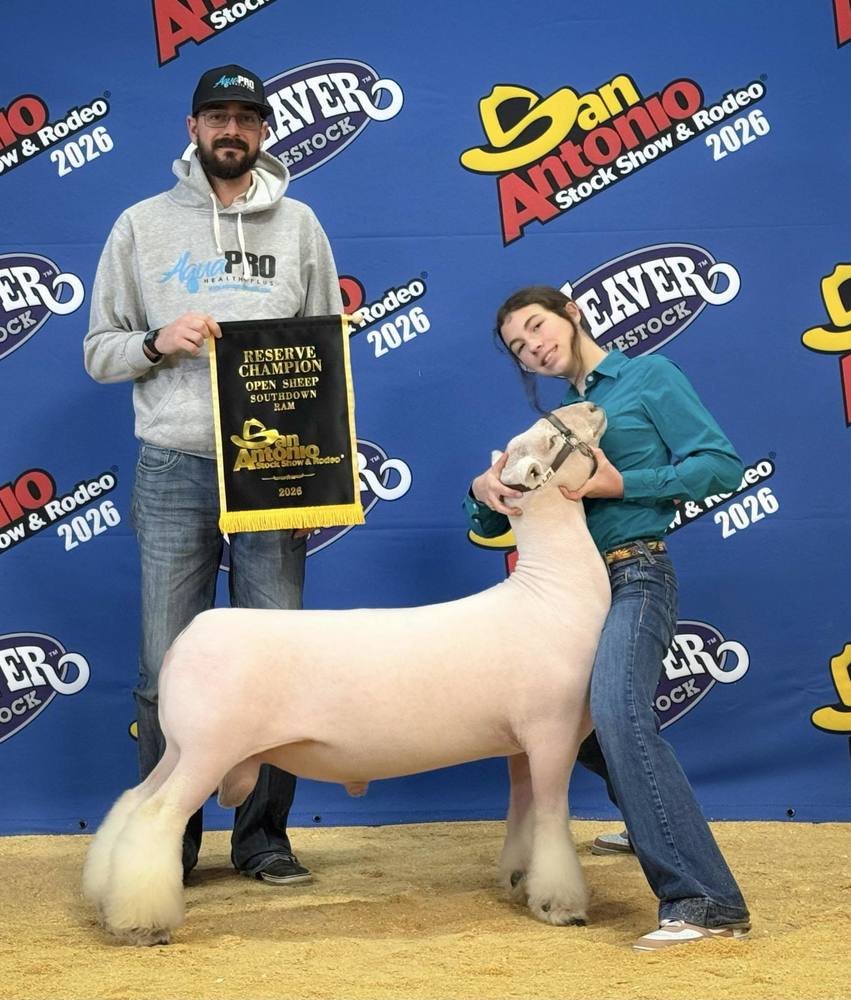 DEAR Reserve Champion