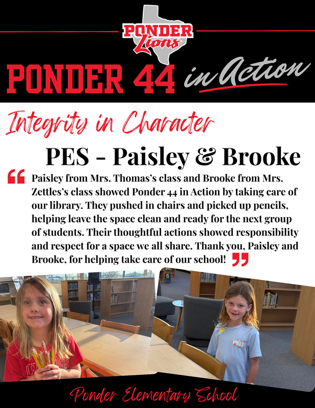 ponder 44