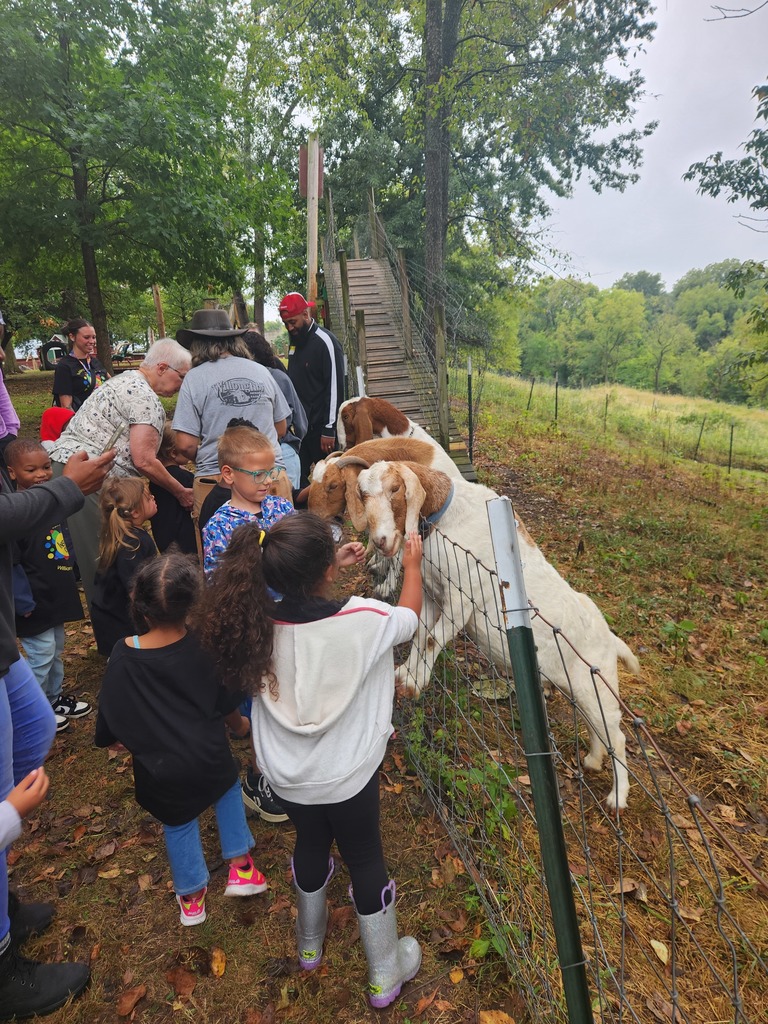 Students interacting with goats