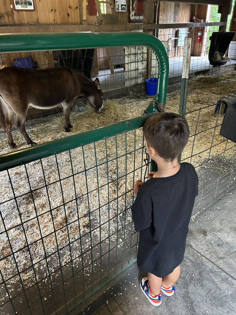 A student looking at a miniature horse