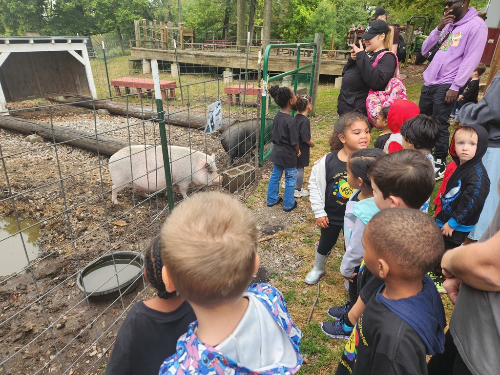 A group of students and parents standing outside a pen containing two pigs