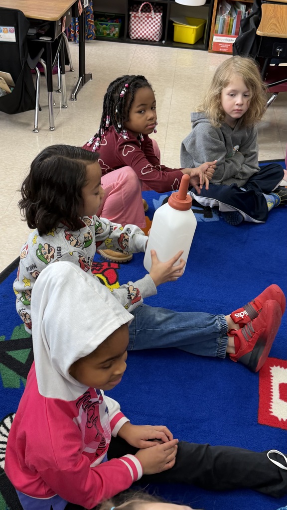 Students getting to touch and hold a calf’s bottle. 