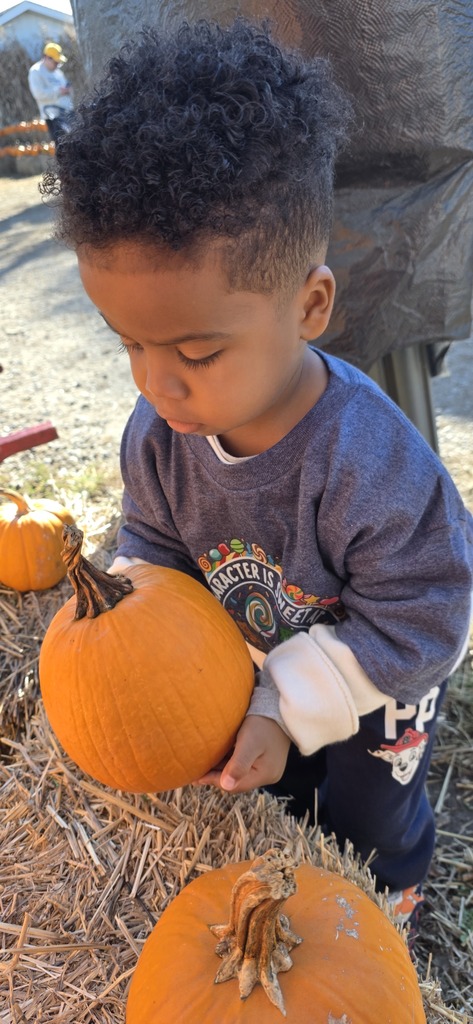 A boy holding a small orange pumpkin