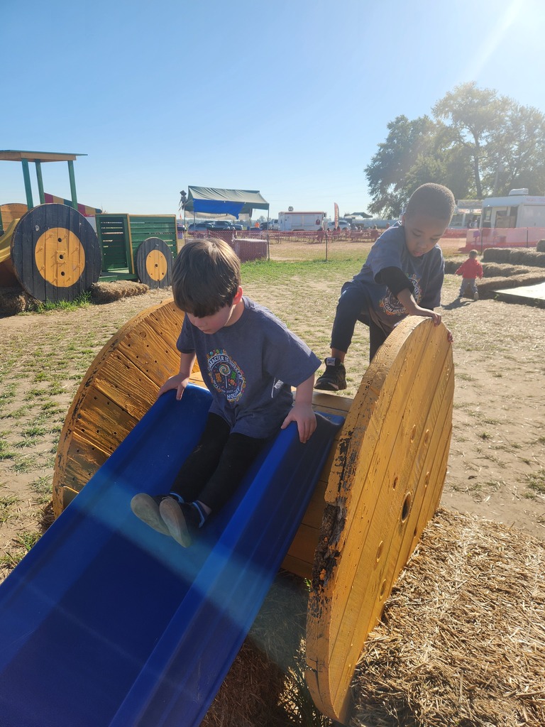 Two boys on a slide