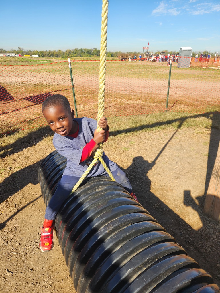 A boy on a swing