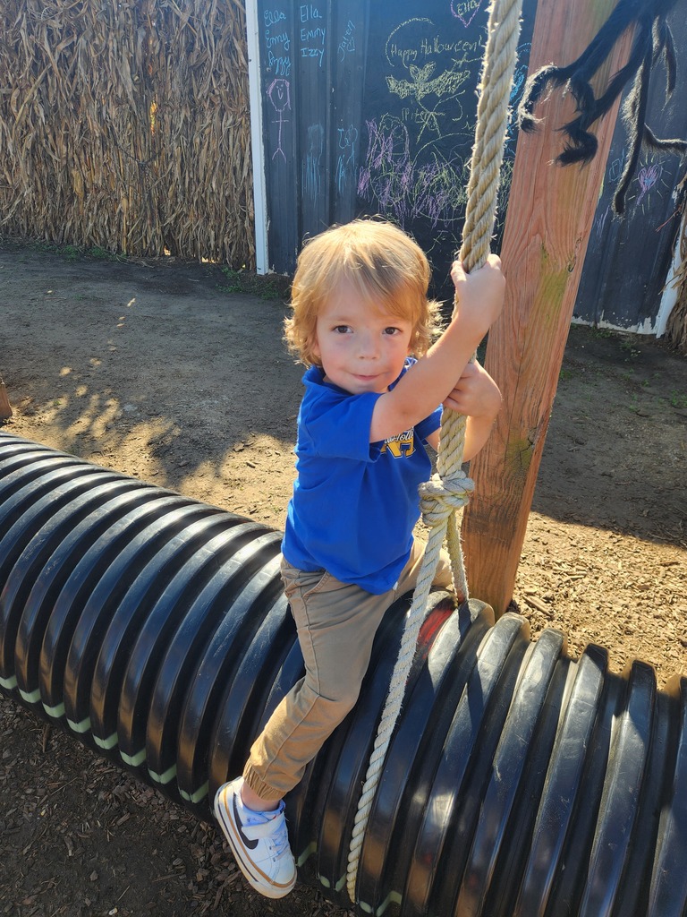 A boy on a swing