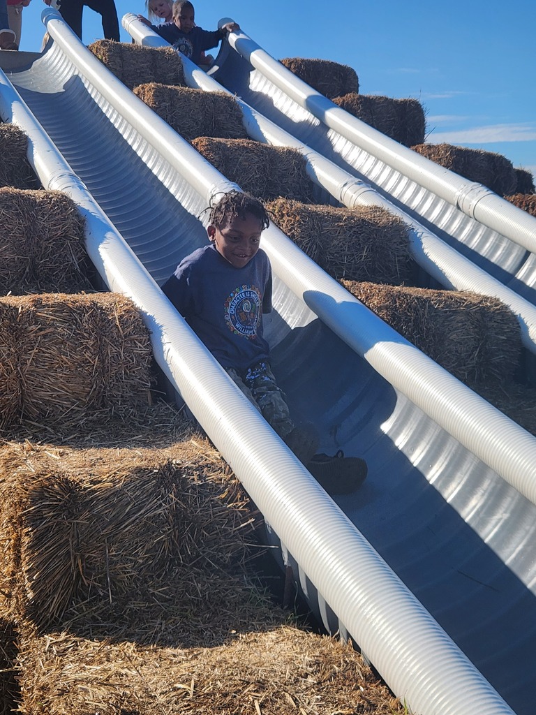 A boy on a slide