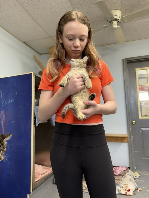 Visiting the Humane Society