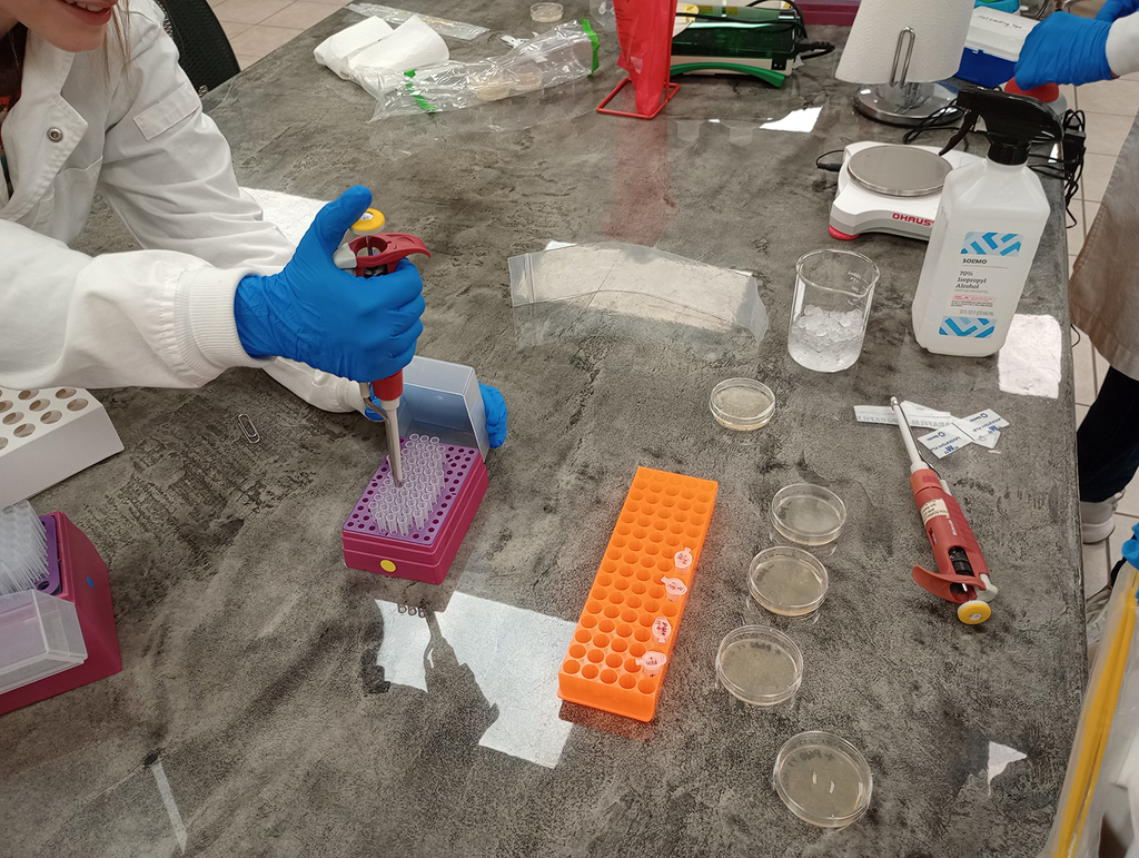 Person working with a micropipette tool