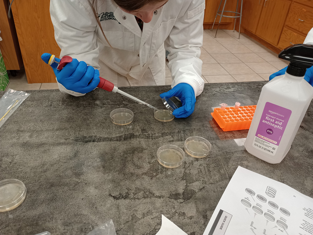 Person working with a micropipette tool