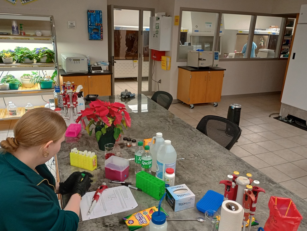 Person in green jacket, black gloves, working in front of a variety of household items