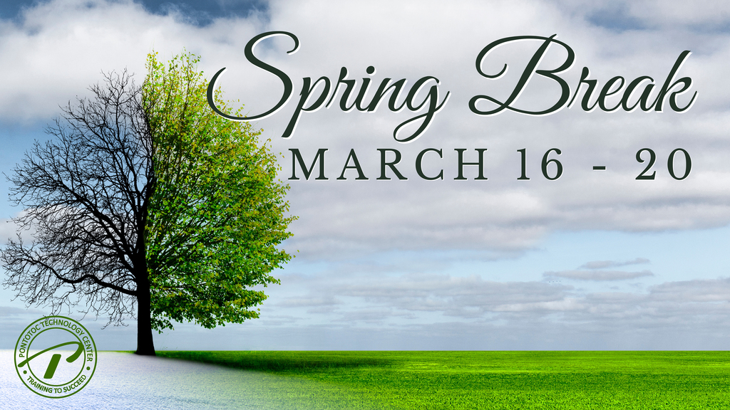 Tree in a meadow with left side of tree in winter snow, and right side of tree in  spring green grass