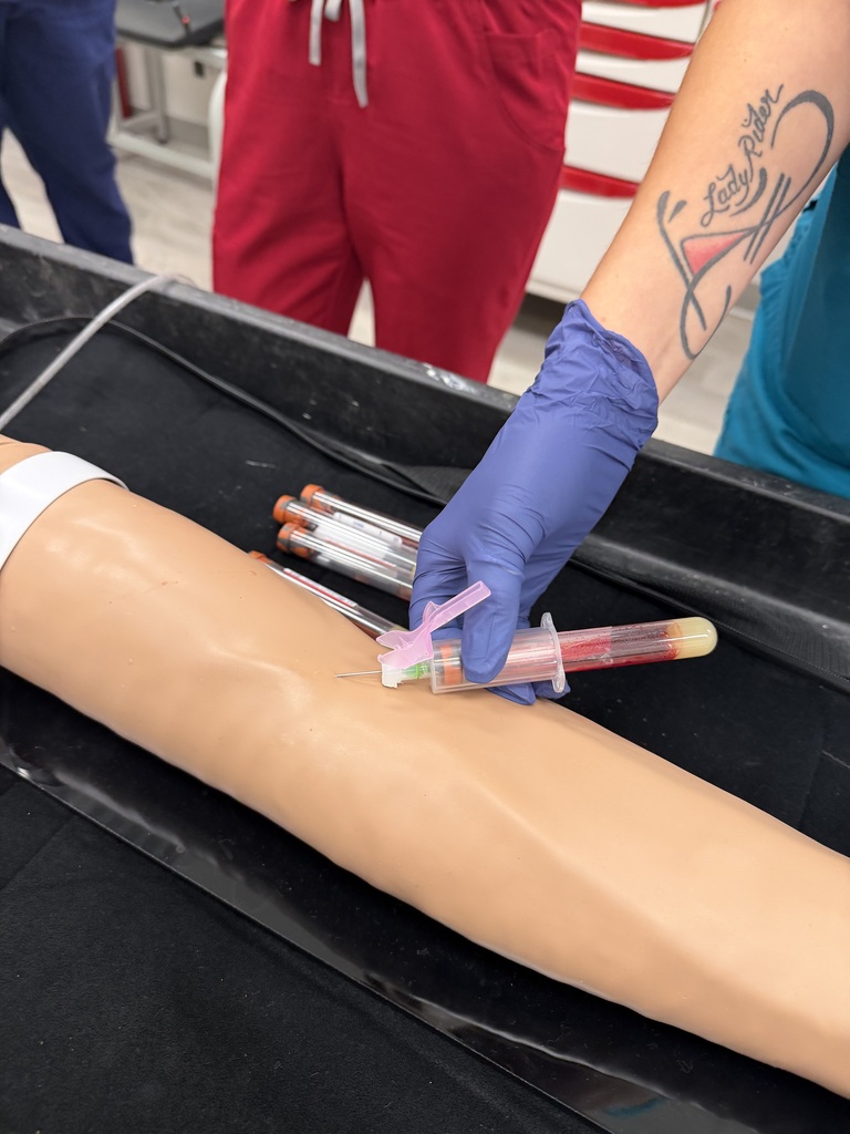 A student practicing phlebotomy skills on a mannequin