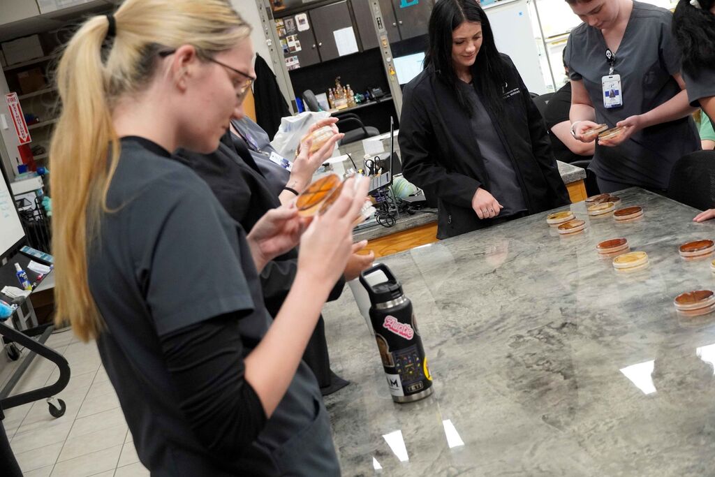 People looking at a science experiment