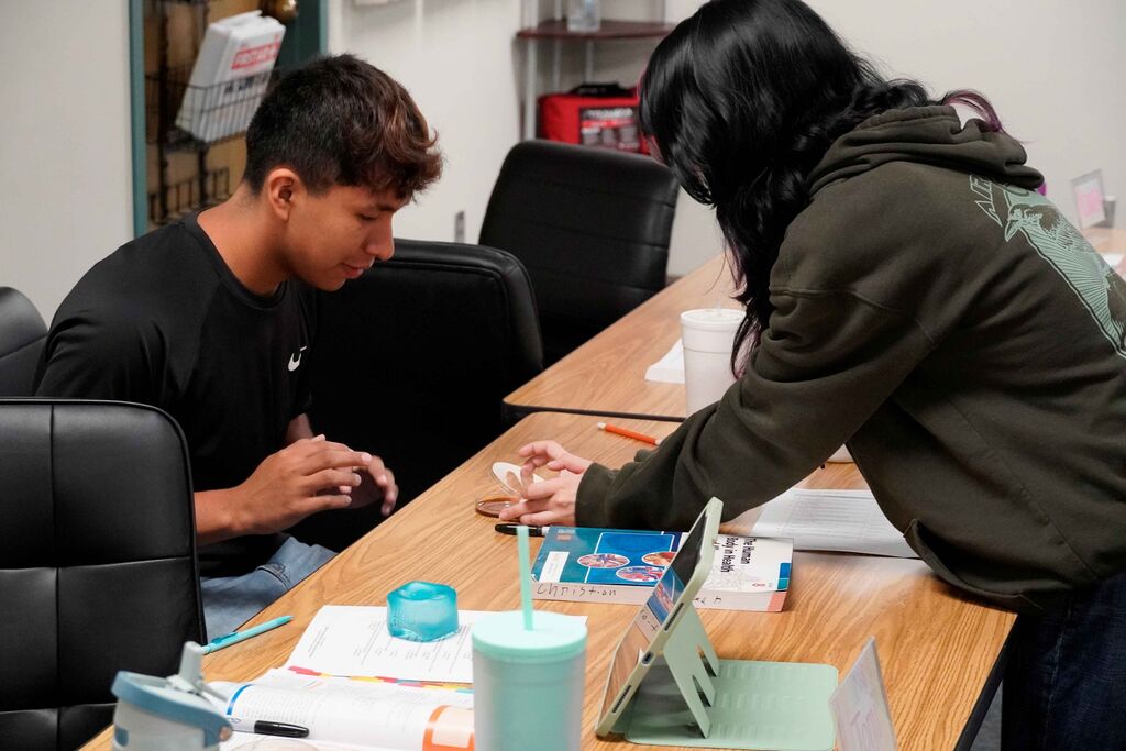 Two people applying samples to a science experiment