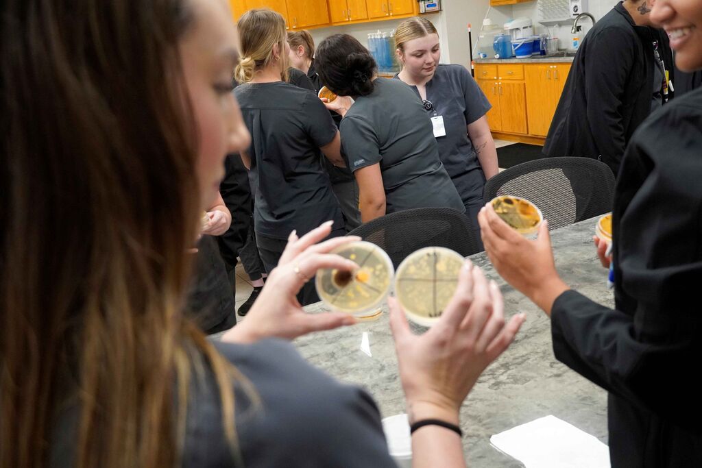 People looking at a science experiment