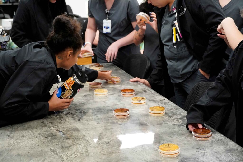 People looking at a science experiment