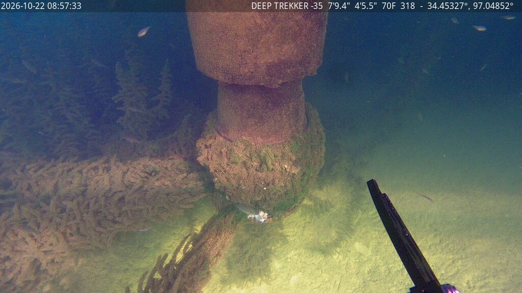 Underwater picture of a pump intake pipe