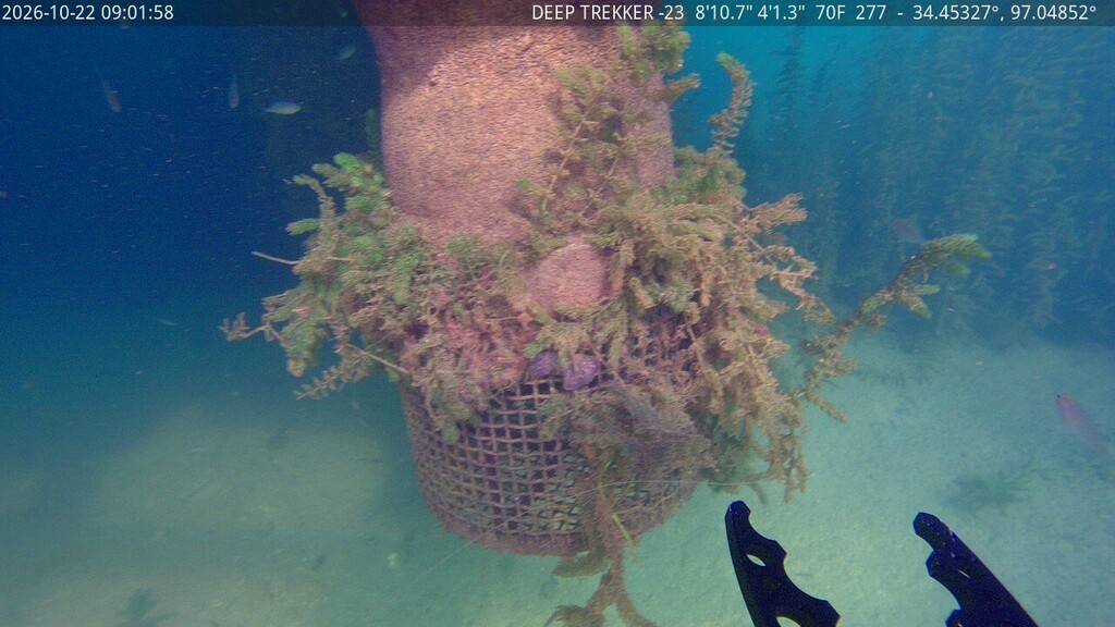 Underwater picture of a pump intake pipe