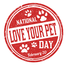 Love your Pet