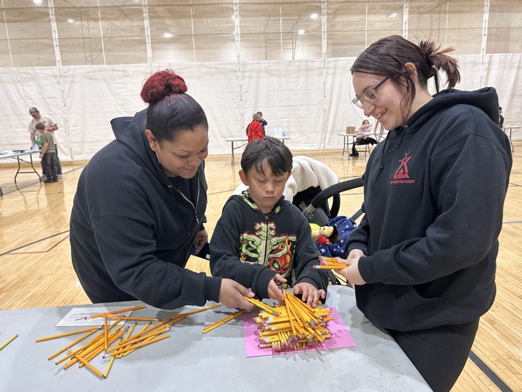 family STEM