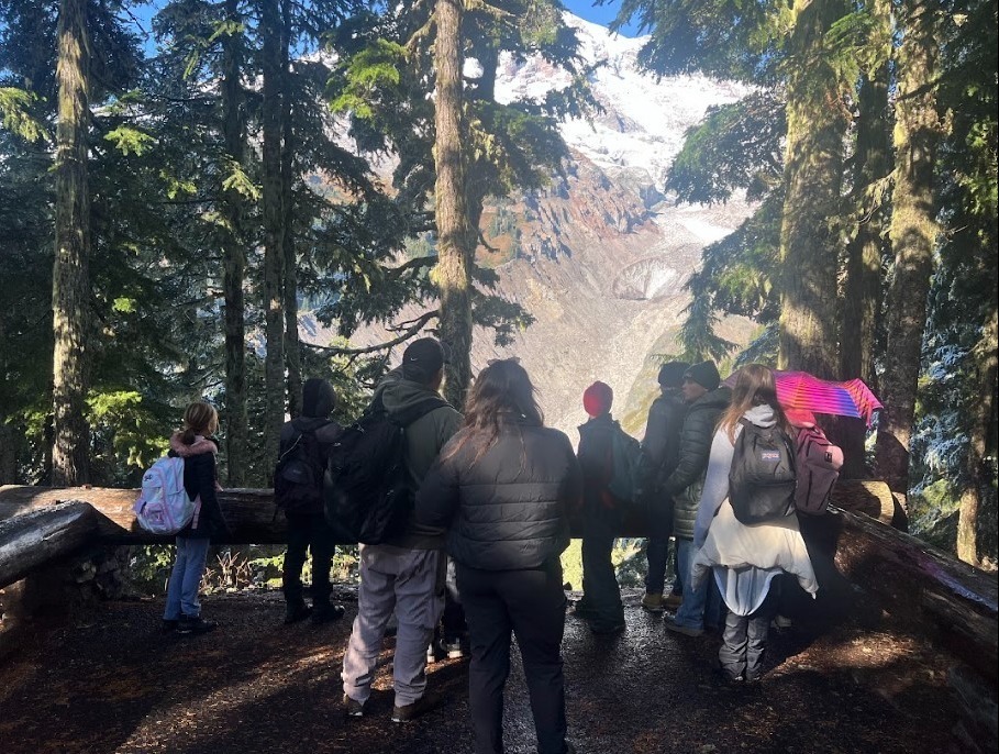 Students in Forest looking at Mt. Rainer