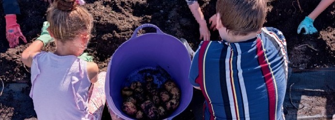 Students planting in the dirt