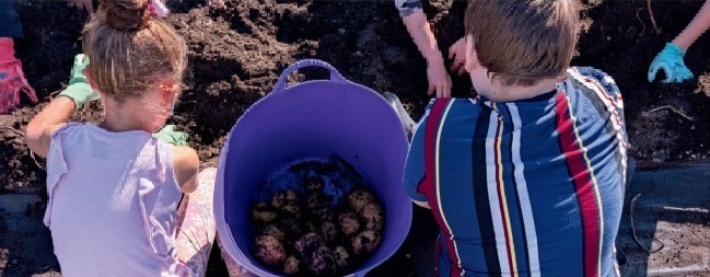 Students digging in garden